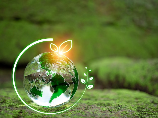 Bola de cristal em musgo na floresta verde Conceito de ambiente Ecologia e ambiente sustentável do conceito do Dia Mundial da Terra
