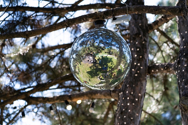 Bola de discoteca em uma árvore em um dia ensolarado