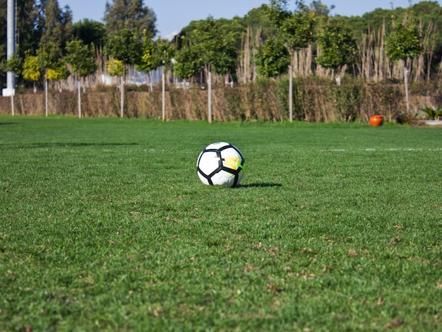 Bola de futebol branca em um campo de futebol gramado verde