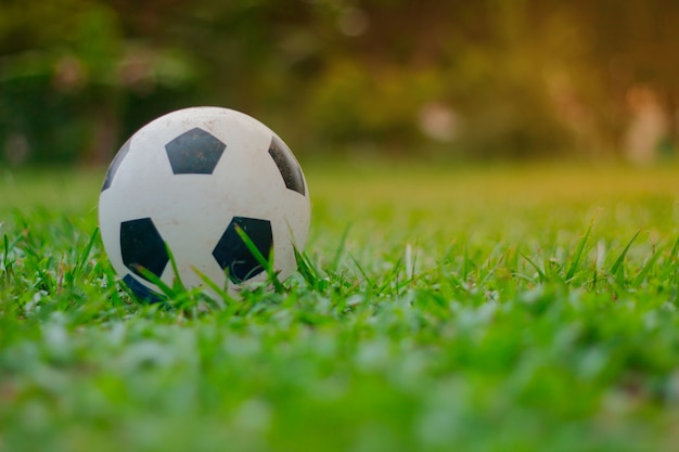 Bola de futebol colocar no gramado