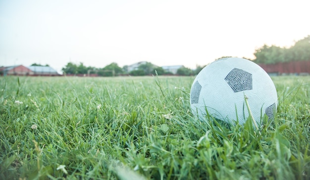 Bola de futebol na grama. Campo de futebol