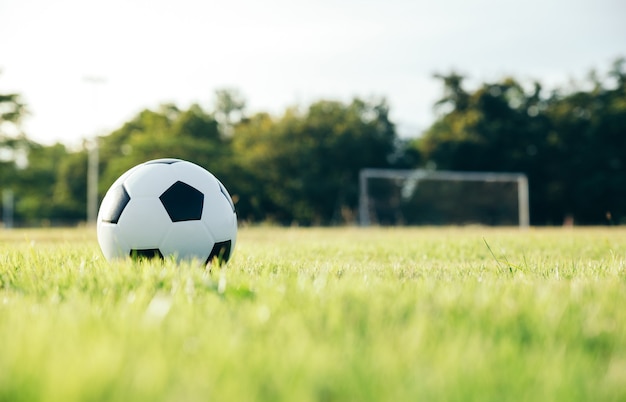 Bola de futebol no campo de grama, o conceito de esporte.