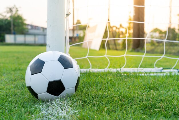 Jogador de Futebol, Bola e Campo.  Jogadores de futebol, Futebol, Bola de  futebol