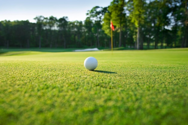 Bola de golfe na relva.