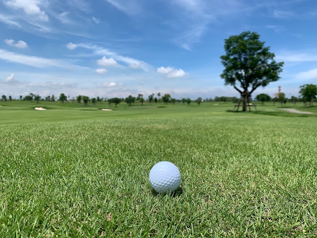 Bola de golfe no campo de golfe com uma grande árvore e céu azul com nuvens