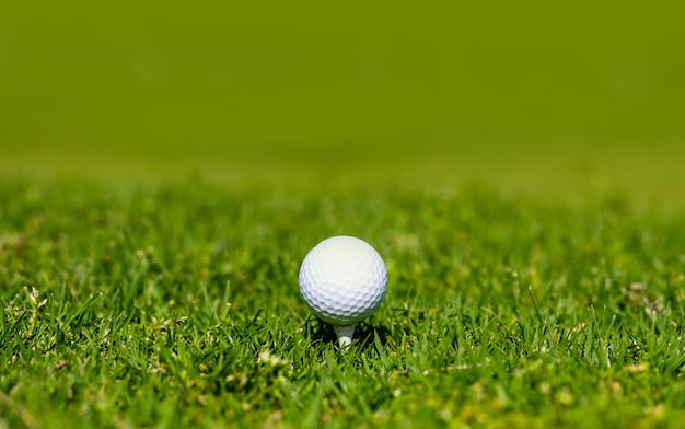 Bola de golfe no campo verde de golfe A bola de golfe está no tee no fundo da grama verde Fundo de golfe esportivo com espaço de cópia