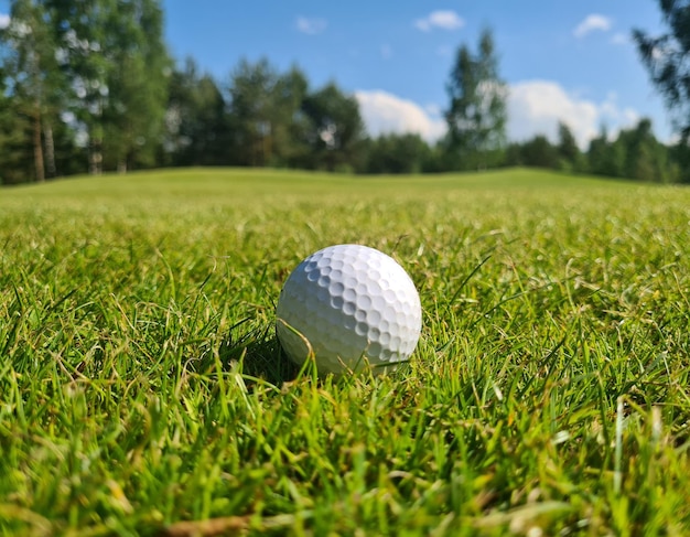 Bola de golfe no campo verde Golfing closeup