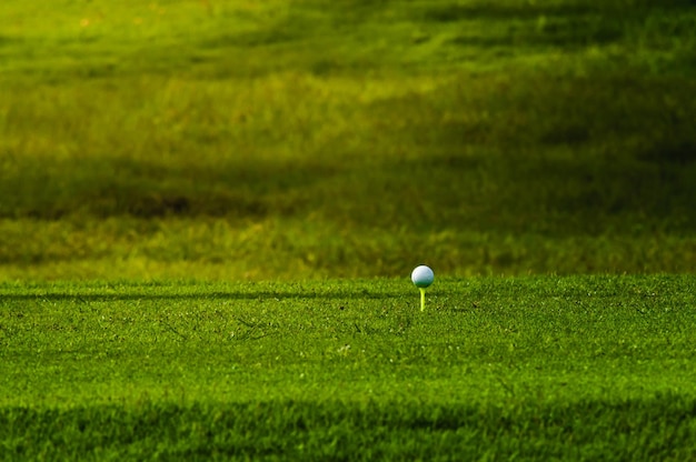 Bola de golfe no campo