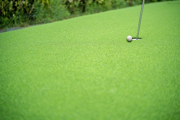 Bola de golfe no lábio da xícara de lindo lindo campo de golfe