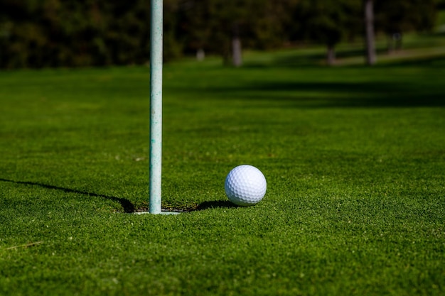 Bola de golfe no lábio do copo no fundo da grama Buraco de golfe