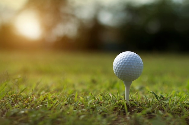 Bola de golfe no tee em um belo campo de golfe com sol da manhã