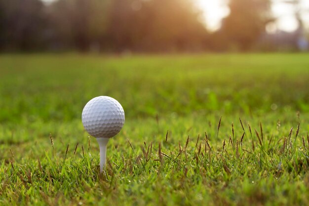 Bola de golfe no tee em um belo campo de golfe com sol da manhã