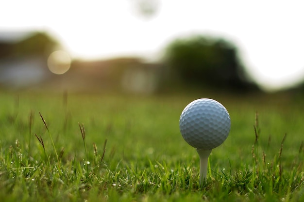 Bola de golfe no tee em um belo campo de golfe com sol da manhã