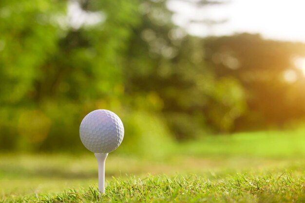 Bola de golfe no tee em um belo campo de golfe com sol da manhã