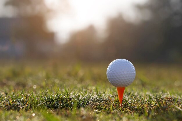 Bola de golfe no tee em um belo campo de golfe com sol da manhã