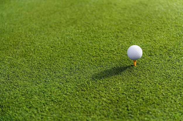 Bola de golfe no tee na grama verde