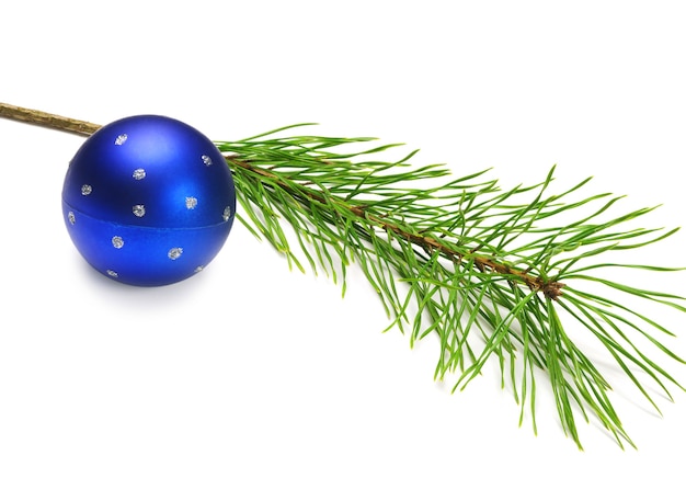 Bola de Natal azul e ramo de pinheiro em branco