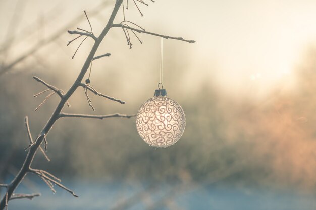 Bola de Natal na árvore ao ar livre foto criativa ano novo Natal