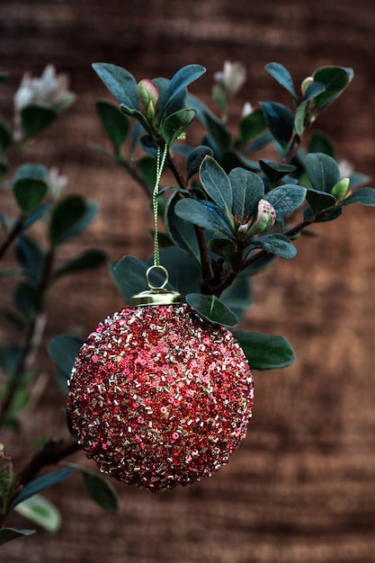 Bola de Natal vermelha pendurada na planta, férias