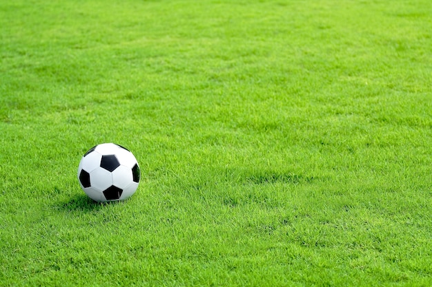 Bola futebol, ligado, campo verde