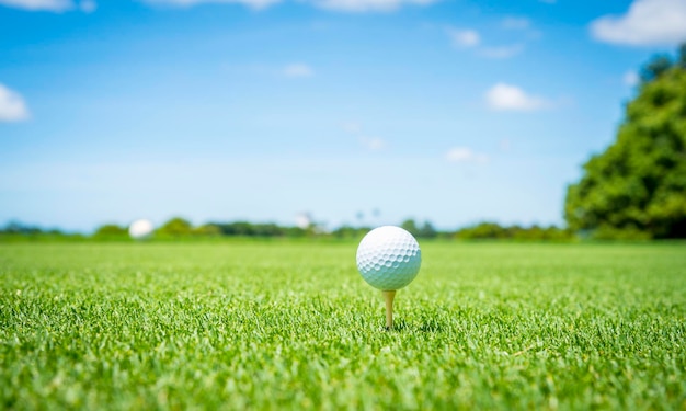 bola de golf en el césped con un cielo azul en el fondo