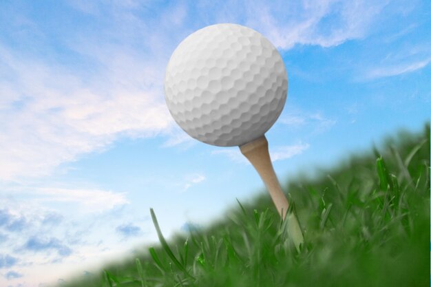 Foto bola de golf en el tee en el césped verde