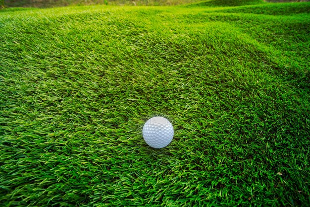 Bola golfe, ligado, capim