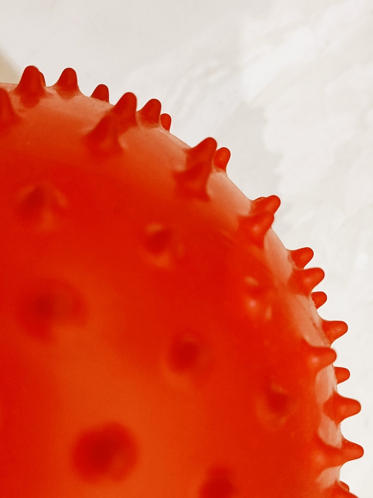 Foto bola de goma roja con pinchos como virus corona