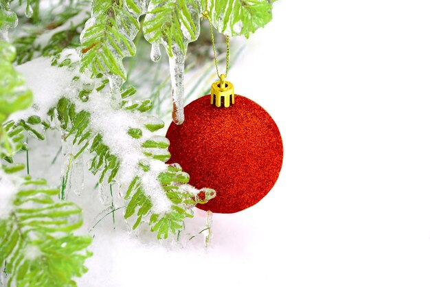 Bola de juguete de Navidad roja colgando de la rama de abeto helado en la nieve.