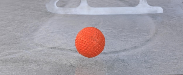 bola laranja para bandy no gelo