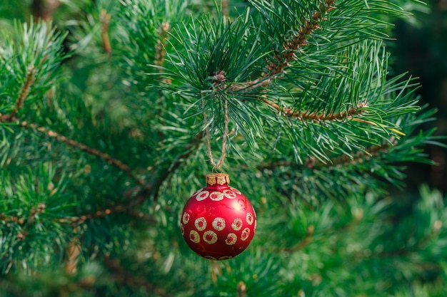 Bola de navidad en un abeto natural