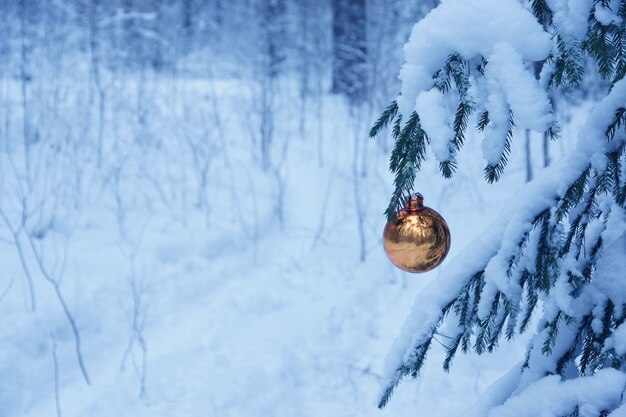 Bola de Navidad amarilla, brillante, brillante y dorada en abeto real congelado en el bosque.