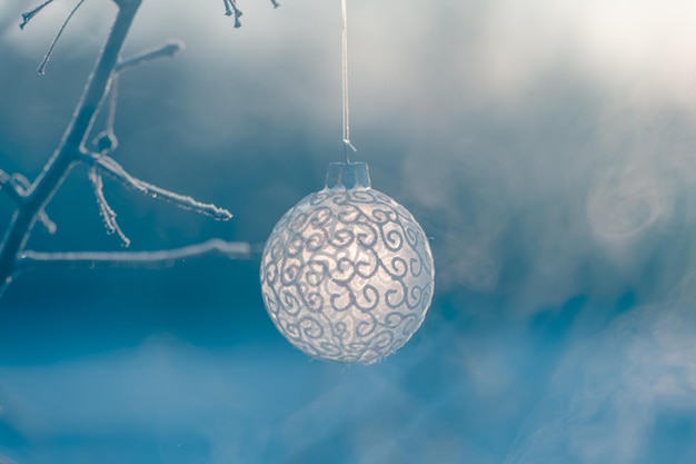 Bola de Navidad en el árbol al aire libre foto creativa año nuevo Navidad