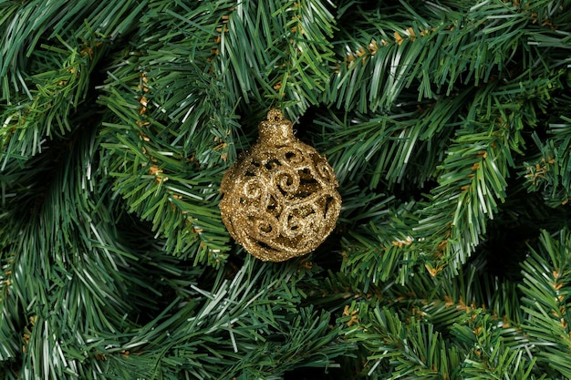 Bola de Navidad dorada aislada en ramas de árboles de Navidad.