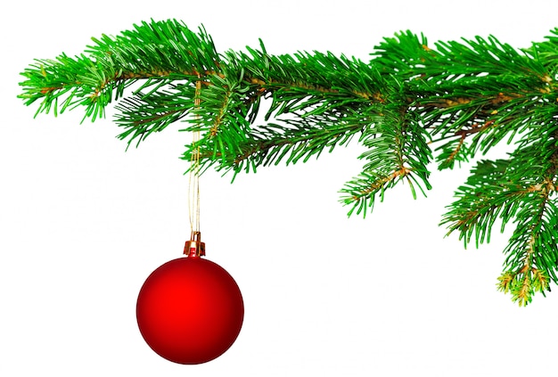 Foto bola de navidad en la rama de abeto aislado en blanco