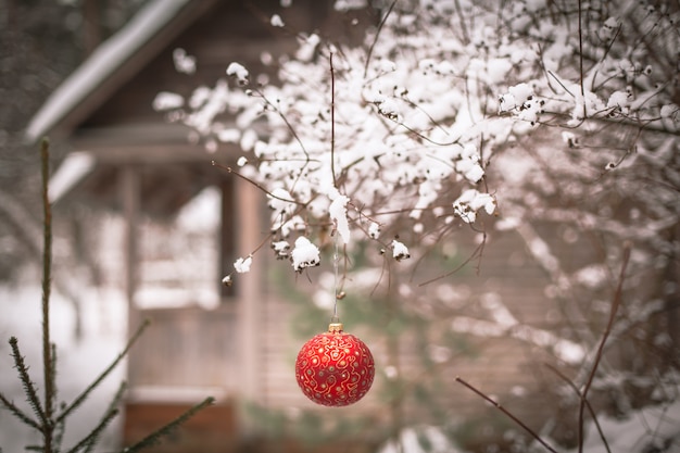 Bola de navidad en la rama de un árbol