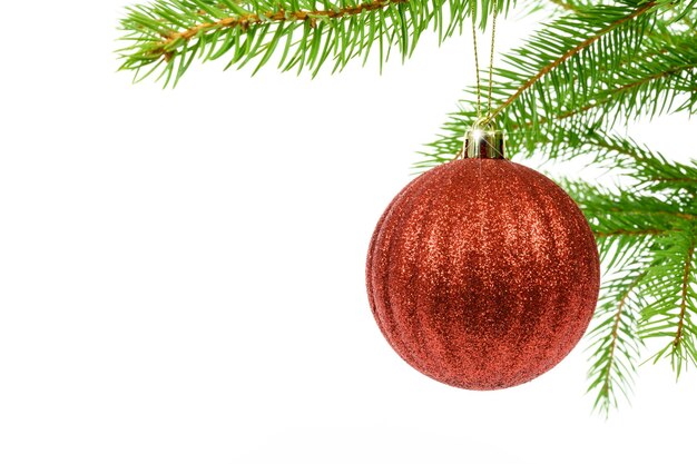 Bola de Navidad roja brillante colgando de una rama de un árbol de Navidad aislado en un fondo blanco con espacio de copia lugar texto de muestra