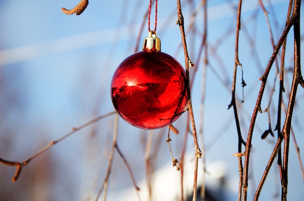 Bola de Navidad roja colgando de ramas de abedul