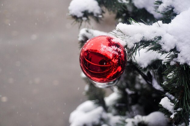 Bola en la nieve en el árbol de Navidad