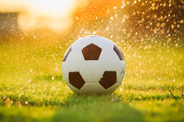 Bola no campo de grama verde para jogo de futebol de futebol sob a luz do sol raio e chuva.