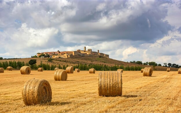 Bola de paja en el campo en España