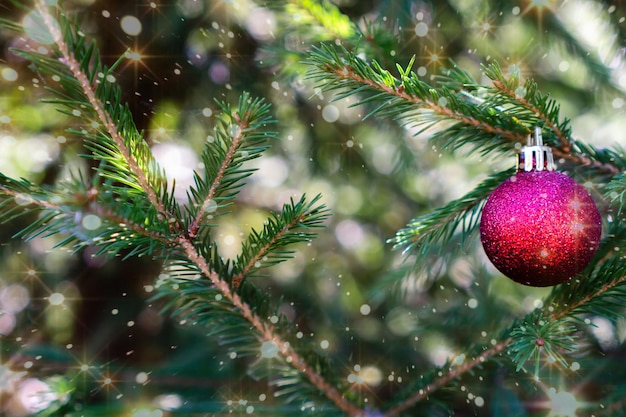 Una bola roja de Navidad cuelga de la rama verde de un árbol de Navidad con un pequeño bokeh li plateado