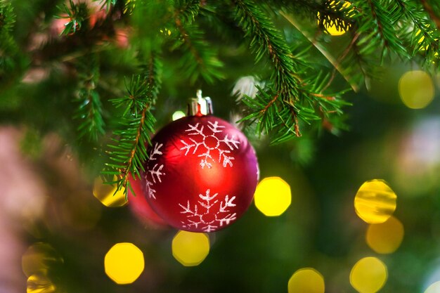 Bola roja en la ramita del árbol de navidad interior