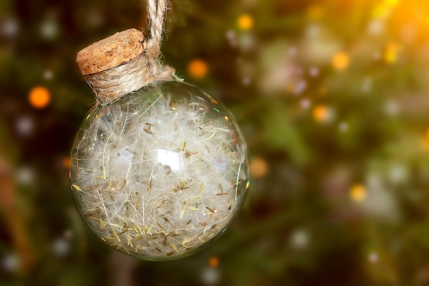 Bola transparente navideña hecha de materiales ecológicos con pelusa de diente de león en el árbol de navidad