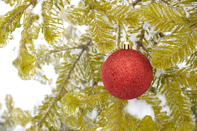 Bola vermelha brilhante de brinquedo de natal pendurada em um galho de pinheiro na neve