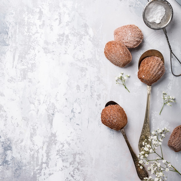 Bolachas de chocolate caseiras Madeleine