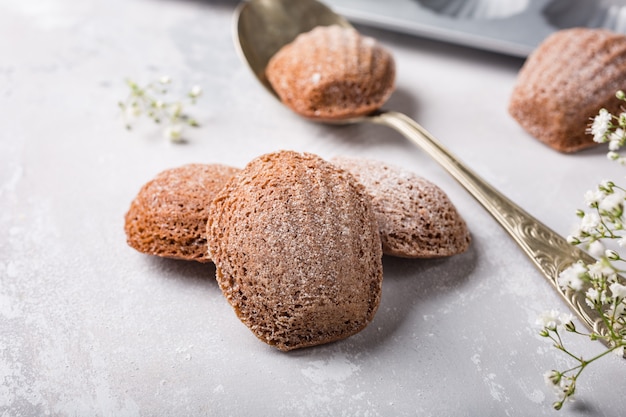 Bolachas de chocolate caseiras Madeleine