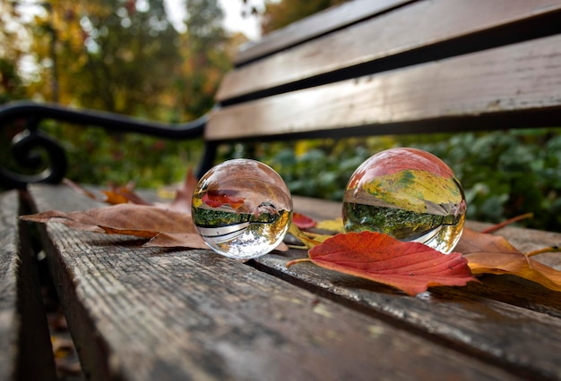 bolas de cristal en un banco del parque en otoño