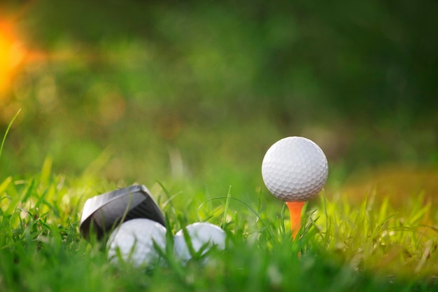 Bolas de golfe e tacos de golfe, bem como equipamentos usados para jogar golfe na grama verde