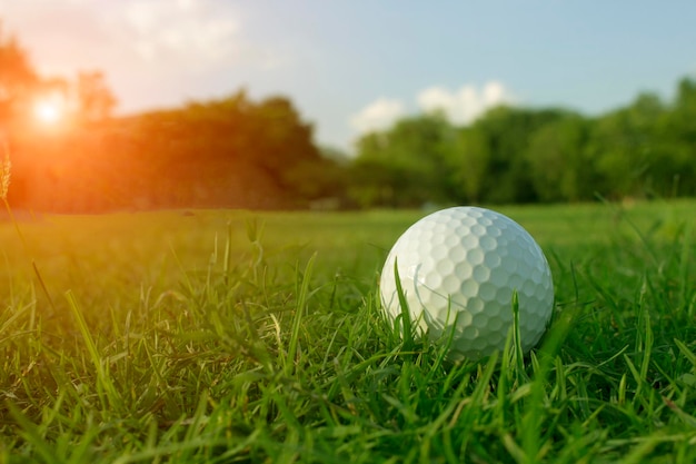 Bolas de golfe em gramados verdes em belos campos de golfe